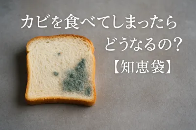 カビを食べてしまったらどうなるの？【知恵袋】