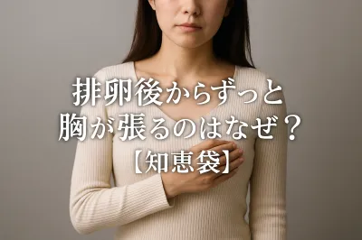 排卵後からずっと胸が張るのはなぜ？【知恵袋】