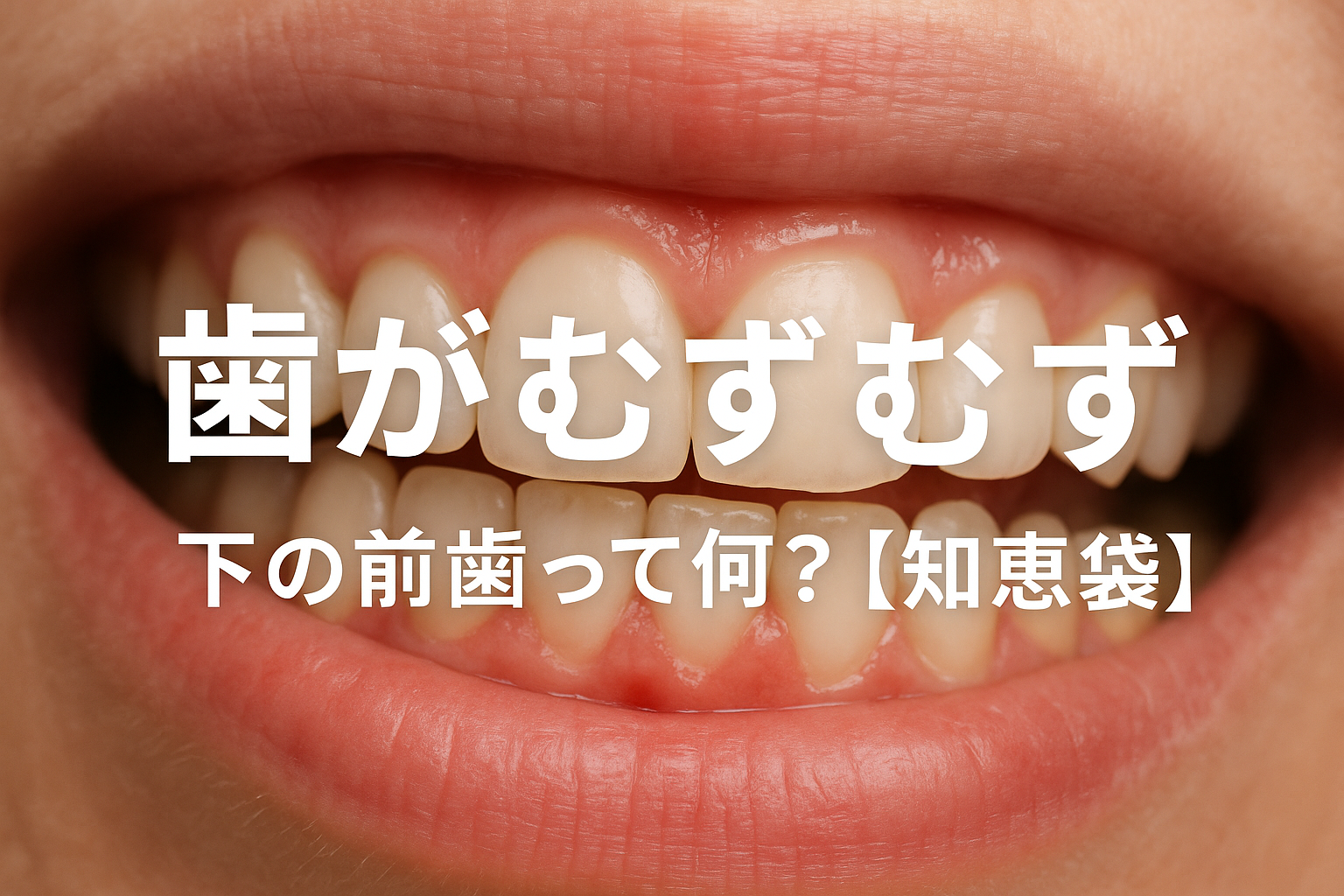 歯がむずむず下の前歯って何？【知恵袋】