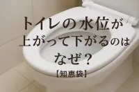 トイレの水位が上がって下がるのはなぜ？【知恵袋】