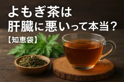 よもぎ茶は肝臓に悪いって本当？【知恵袋】