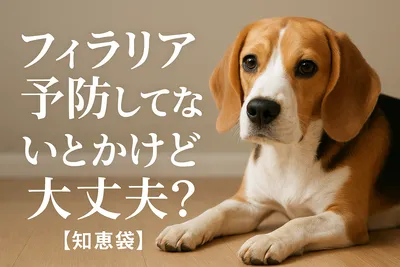 フィラリア予防してないけど大丈夫？【知恵袋】