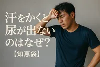 汗をかくと尿が出ないのはなぜ？【知恵袋】