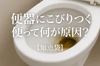 便器にこびりつく便って何が原因？【知恵袋】