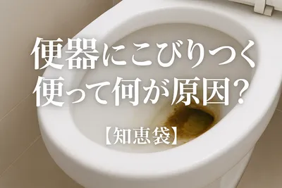 便器にこびりつく便って何が原因？【知恵袋】