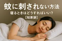 蚊に刺されない方法、寝るときはどうすればいい？【知恵袋】