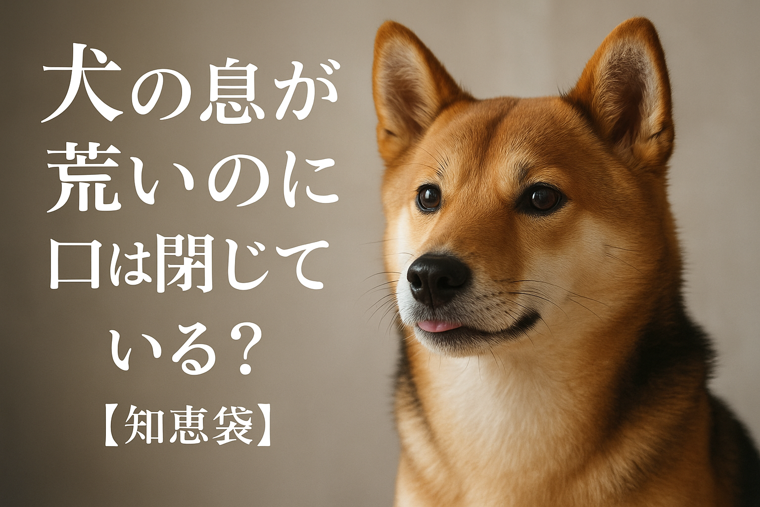 犬の息が荒いのに口は閉じている？【知恵袋】