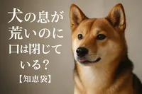 犬の息が荒いのに口は閉じている？【知恵袋】