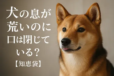 犬の息が荒いのに口は閉じている？【知恵袋】