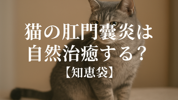 猫の肛門嚢炎は自然治癒する？【知恵袋】
