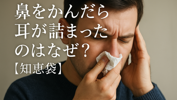 鼻をかんだら耳が詰まったのはなぜ？【知恵袋】