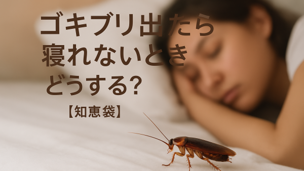ゴキブリ出たら寝れないときどうする？【知恵袋】