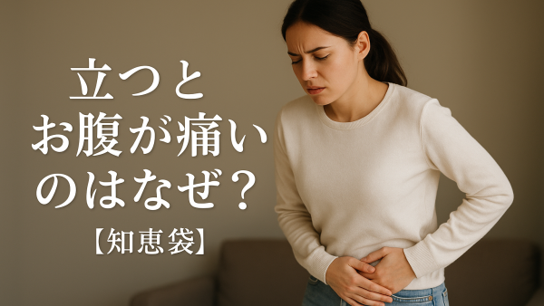 立つとお腹が痛いのはなぜ？【知恵袋】